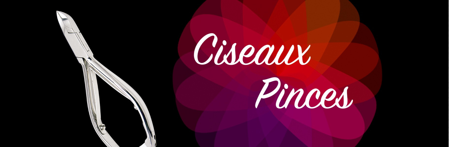 Ciseaux Et Pinces